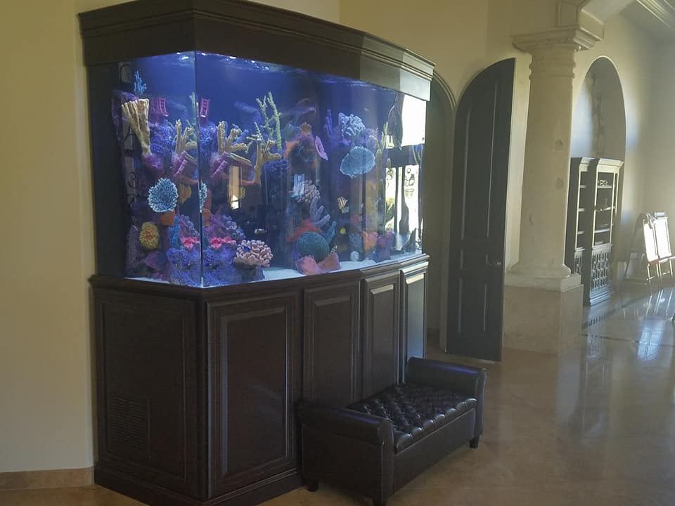 600 gallon fish tank
